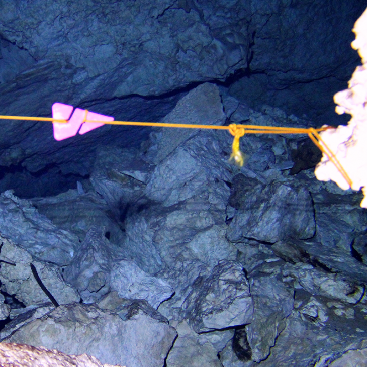 This shows the beginning of the cavern line inside a cenote near Playa del Carmen.