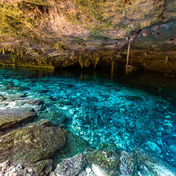 The surface of Dos Ojos cenote