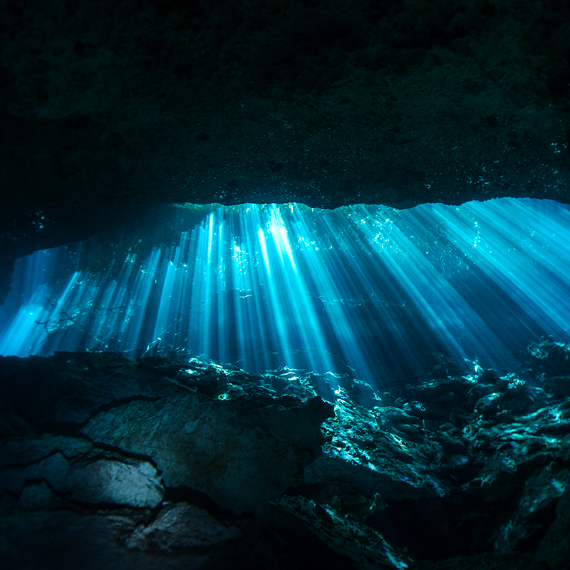 Garden of Eden Cenote and Cavern near playa del Carmen