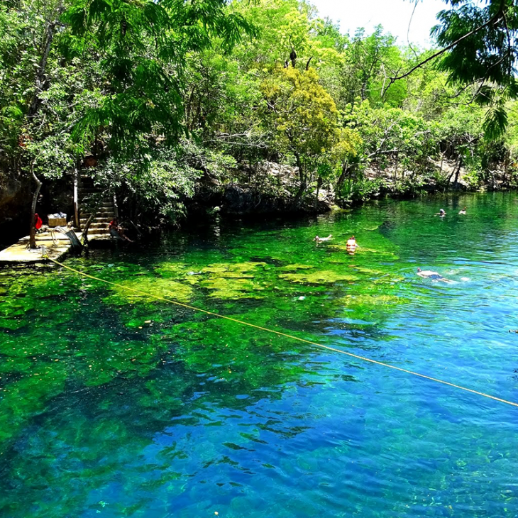 Surface of the Garden of Eden Cenote and Cavern near playa del Carmen