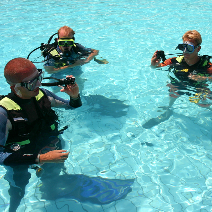 Scuba divers testing their equipment during their course in the pool