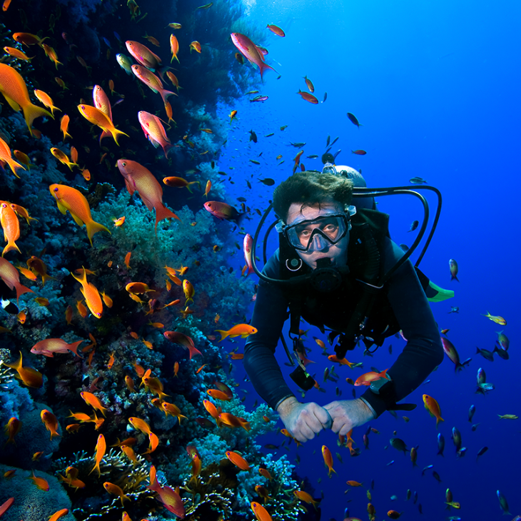 Diver surrounded by fish while diving near Playa del Carmen