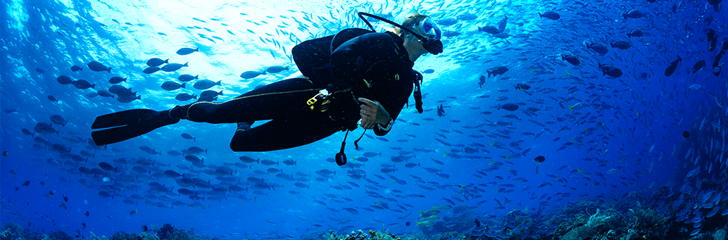 Diver swimming on reef on Cozumel.