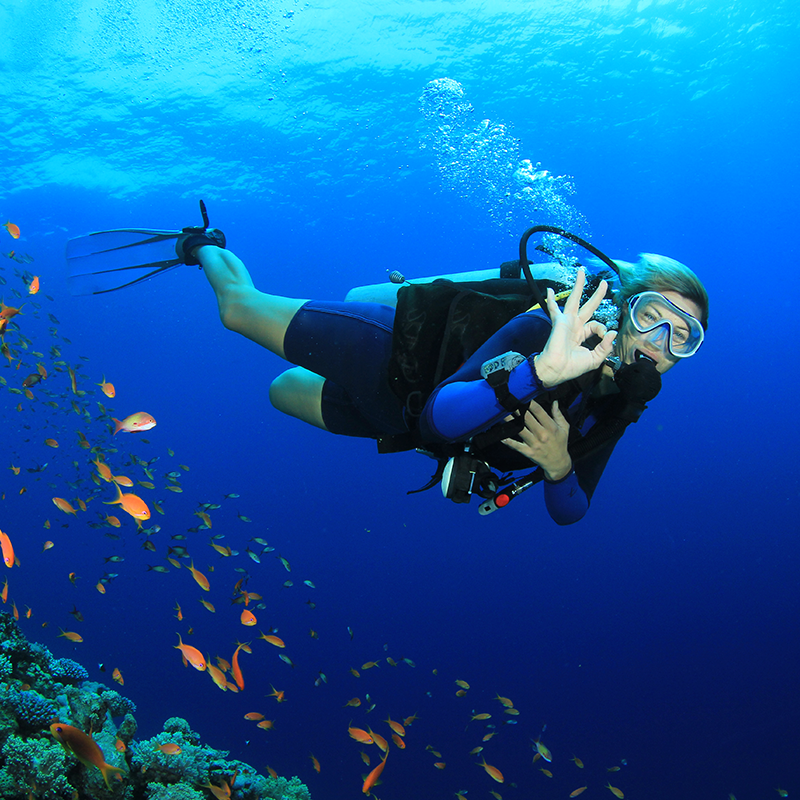 A scuba diver swims along a reef in Playa del Carmen