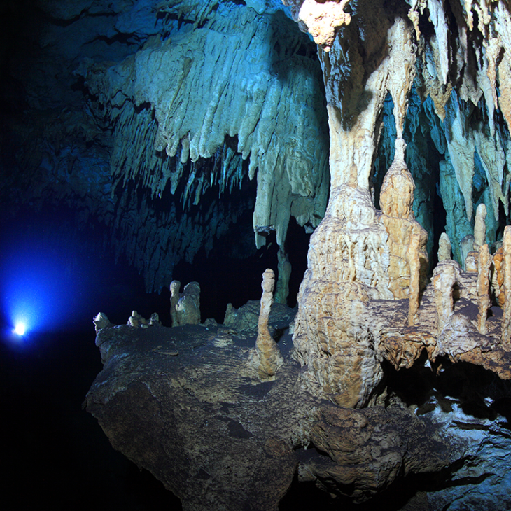 This image shows a beautiful cave formation in a cenote near Playa del Carmen and Tulum.