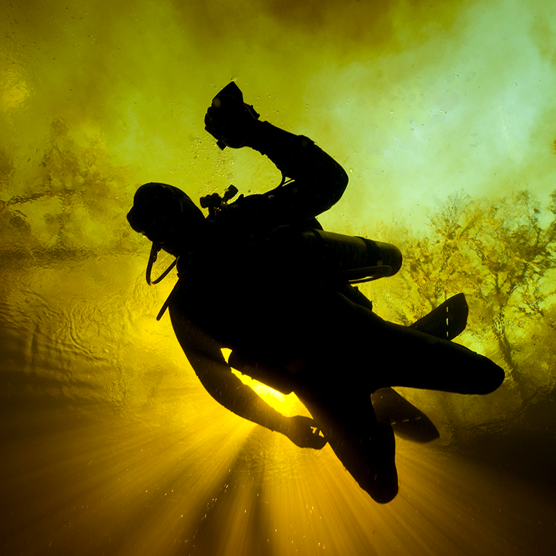 Pete Bucknell poses for a creepy shot in the open water area of Cenote Car Wash in Tulum. No filter in the picture. The yellow and orange tint in the image is caused by the tanins in the water.